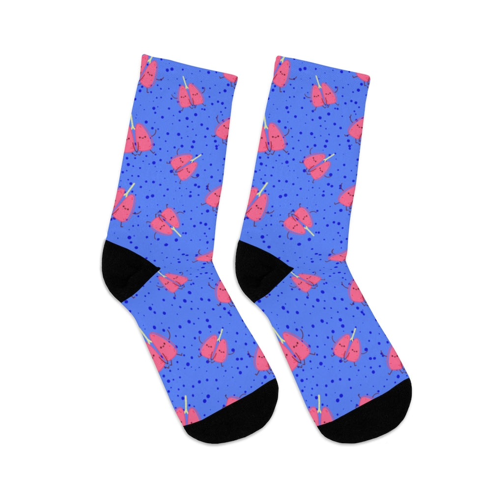 Kidney Socks — full pair, unworn