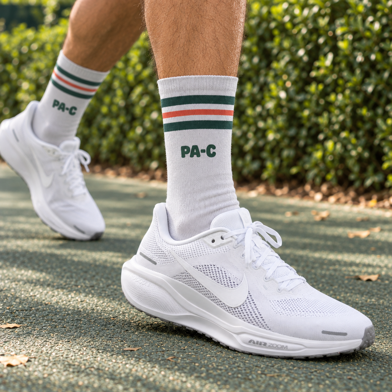 PA-C Socks - Club Edition — on foot